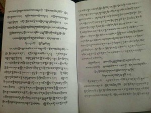 Articles explaining the laws in Tibetan language.
