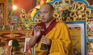The 17th Karmapa, Ogyen Trinley Dorjee. Photo: kagyuoffice.org/