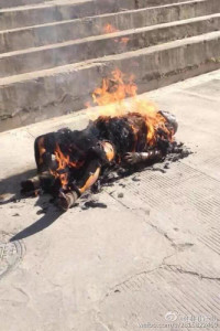 Picture of Kelsang Yeshi engulfed in flames