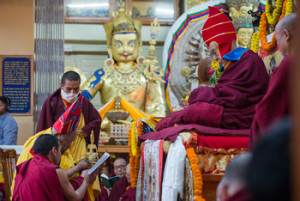Taklung Tsetrul Rinpoche offering prayers during the Long Life Offering Ceremony for His Holiness the Dalai Lama at the Main Tibetan Temple in Dharamsala, HP, India on March 4, 2015. Photo/Tenzin Choejor/OHHDL