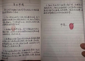 Dolkar Lhamo's original application in Chinese language.