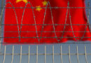 China Expands Religious Scrutiny Into Chengdu Schools, Hospitals China Expands Religious Scrutiny Into Chengdu Schools, Hospitals